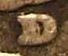 1916-D/D-Barber-Quarter;-Updated-With-Better-Pics!